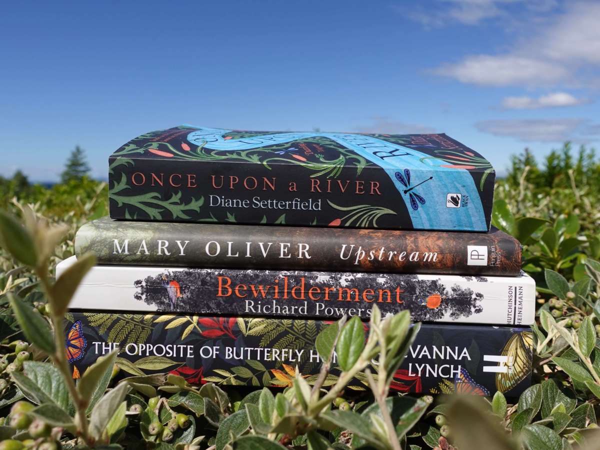 My First Blog &&nbsp;Manifesto