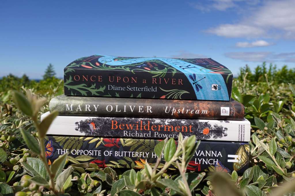 My First Blog &&nbsp;Manifesto