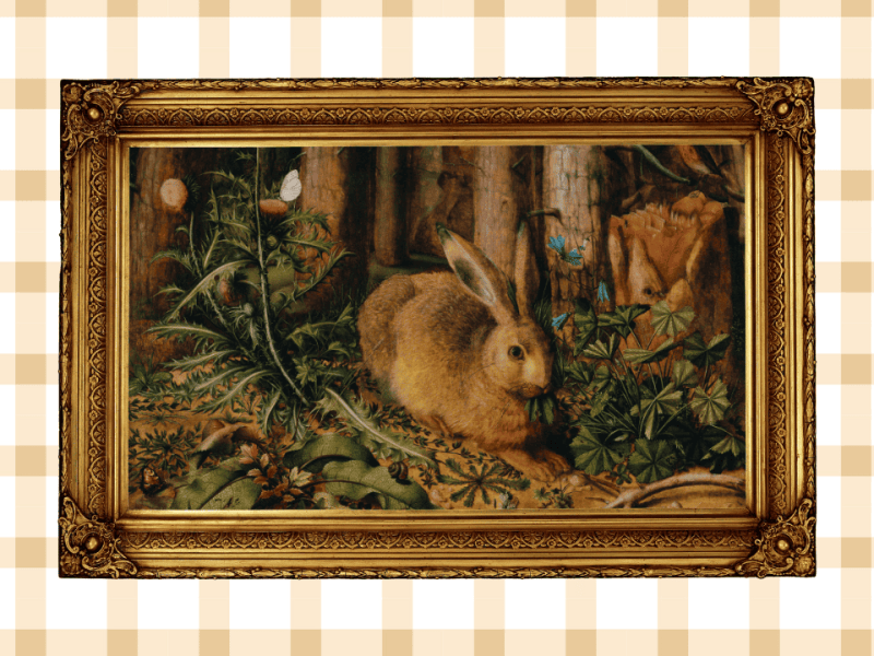 Hares & AI Fears: Reading recommendations from&nbsp;humans
